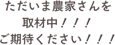 ただいま農家さんを
取材中！！！
ご期待ください！！！